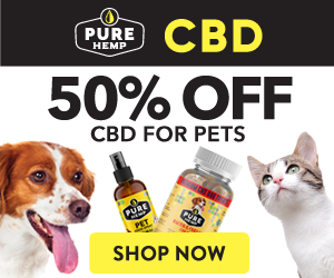 Pure Hemp CBD 50% Off for Pets