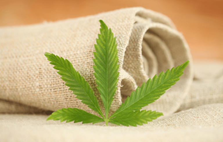 cannabis leaf hemp fabric texture