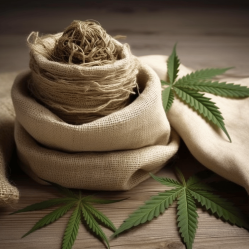 Hemp fiber is a natural fiber obtained from the Cannabis sativa plant