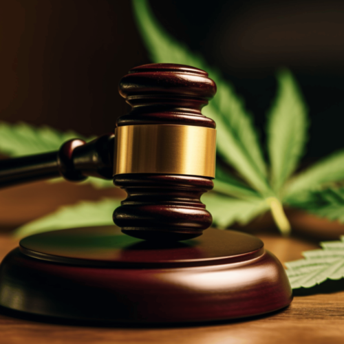 A close up photo of A judge's gavel sitting on top of a wooden table with hemp leaf