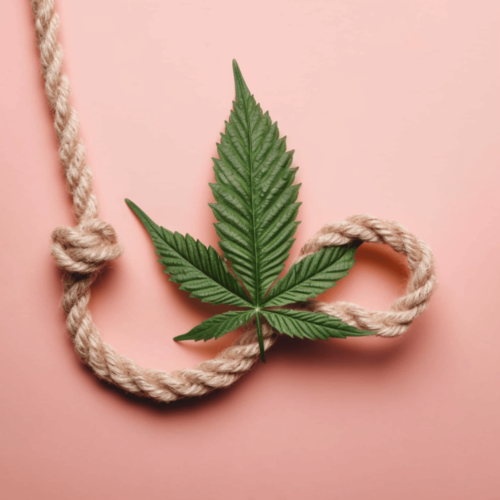 Cut piece of hemp rope, in a pastel colored background, with hemp leaf