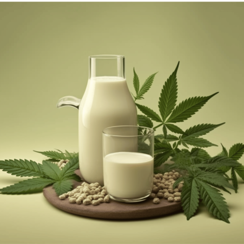 hemp milk seed with cannabis leaves in a sage green background