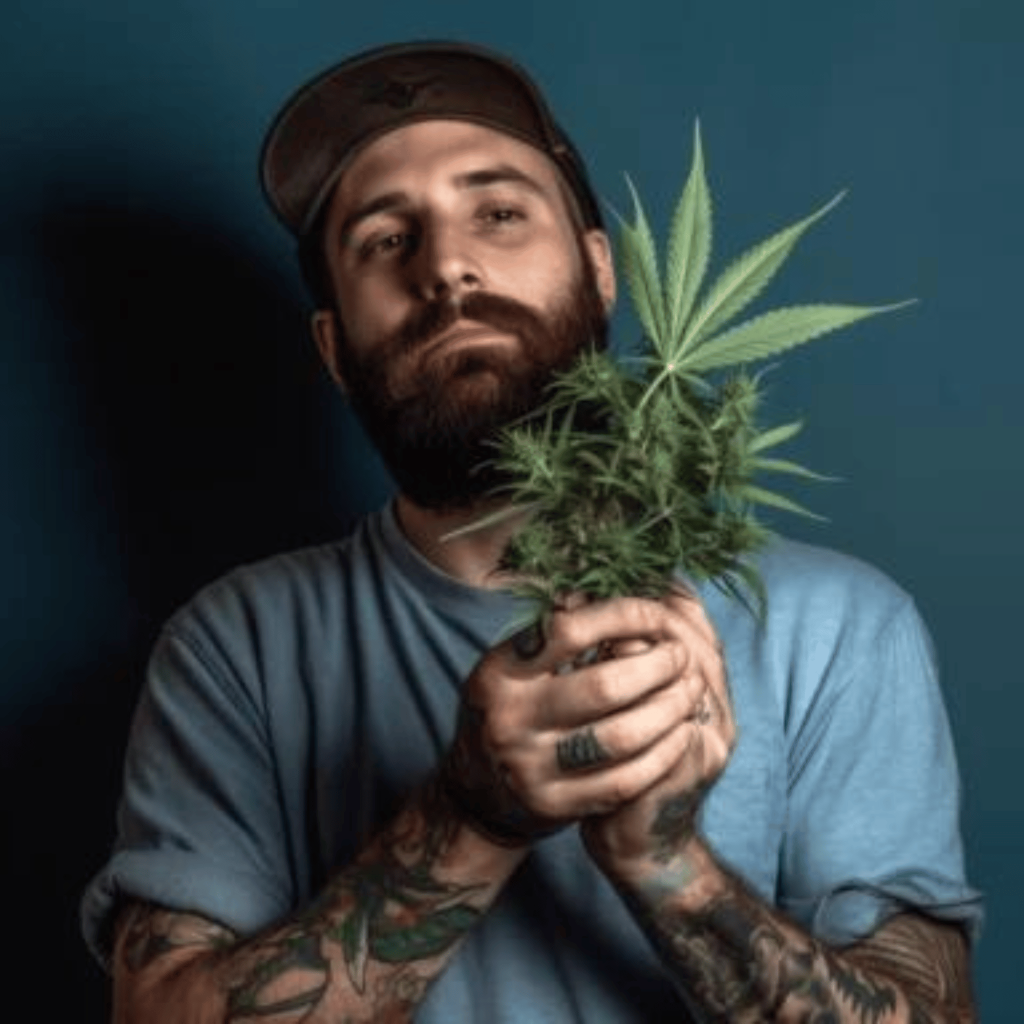 man holding a cannabis plant in blue background