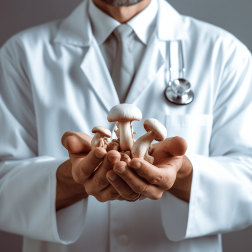 A doctor in a white coat holding a psilocybin - mushroom in his hand.