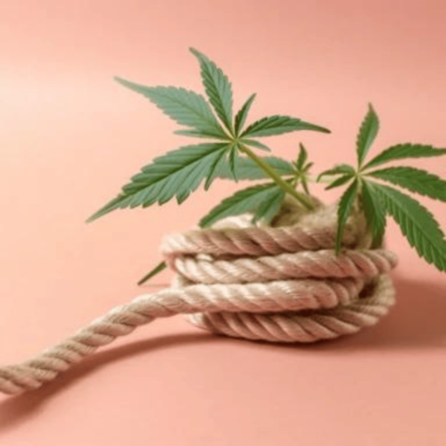 hemp rope with minimal cannabis leaves in a nude pink background