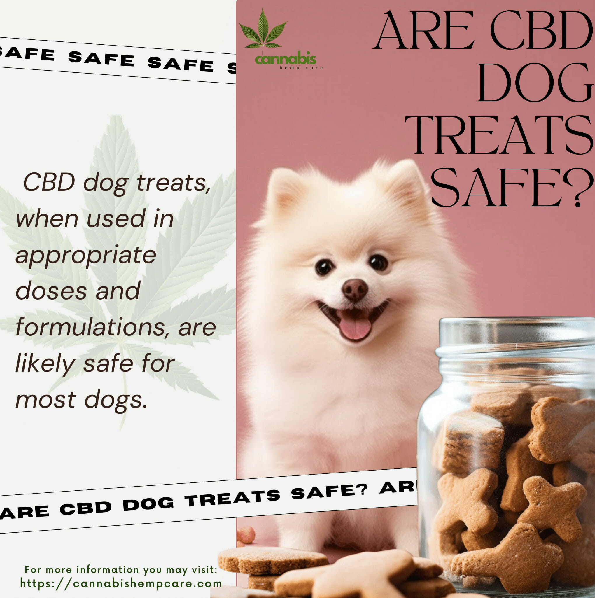 Are CBD Dog Treats Safe?