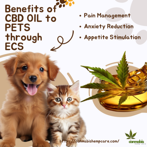 Benefits of CBD OIL to PETS through ECS