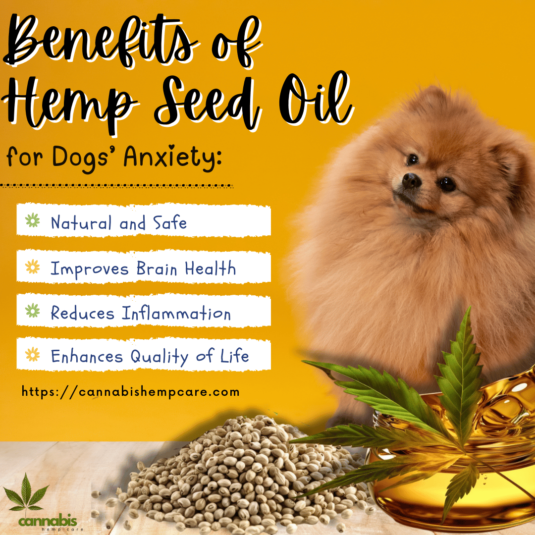 Benefits of Hemp Seed Oil for Dogs’ Anxiety