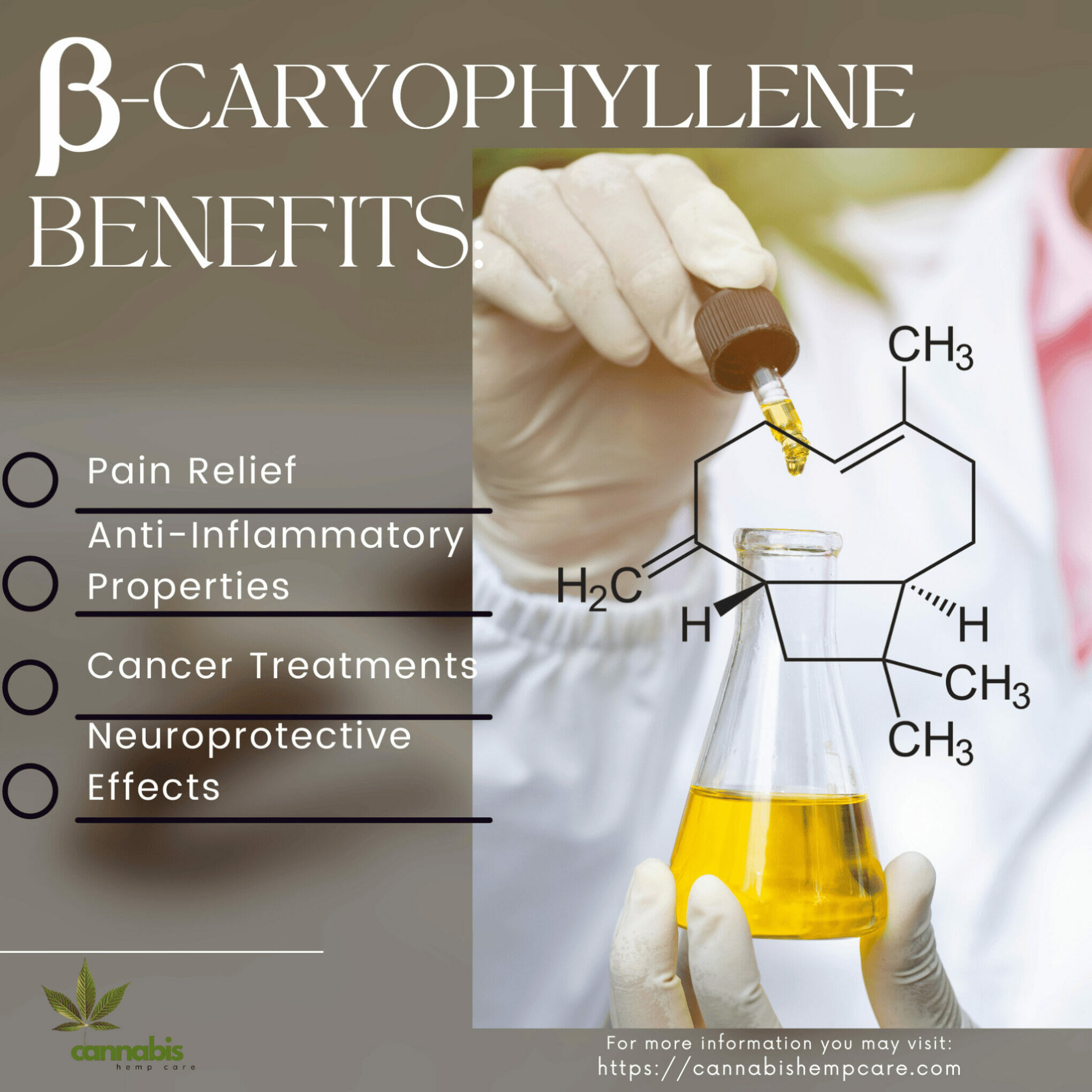 Beta-caryophyllene Benefits