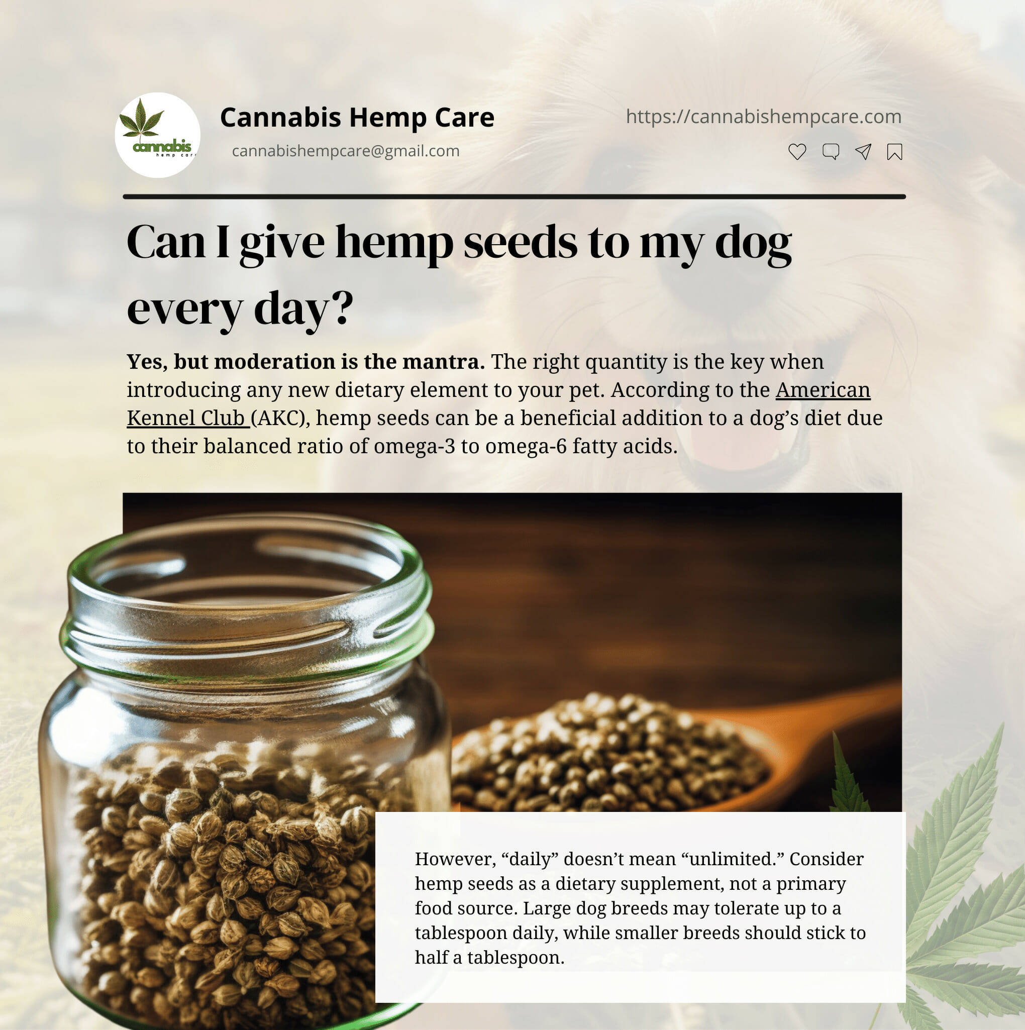 Can I give hemp seeds to my dog every day