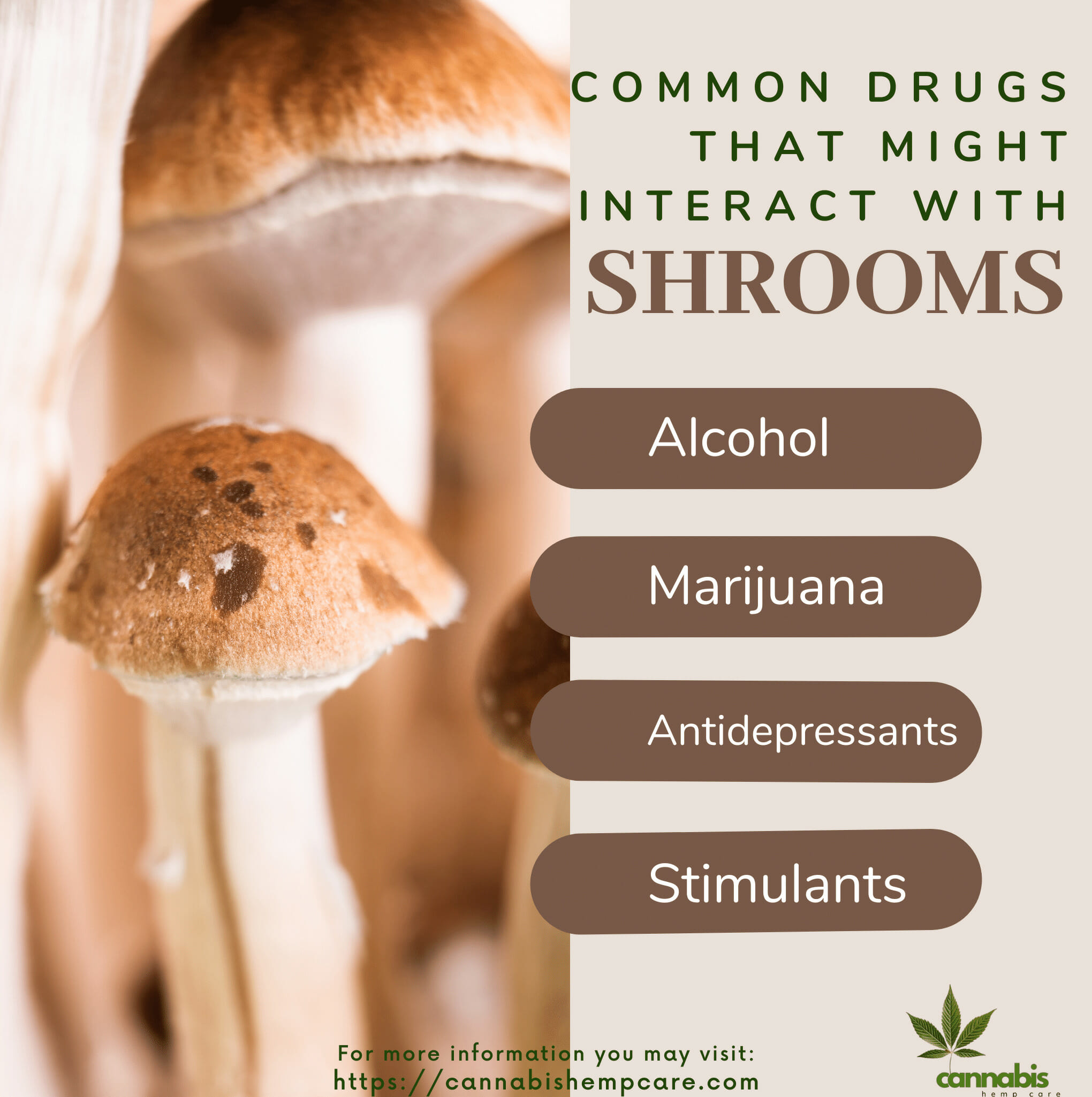 Common Drugs That Might Interact with Shrooms