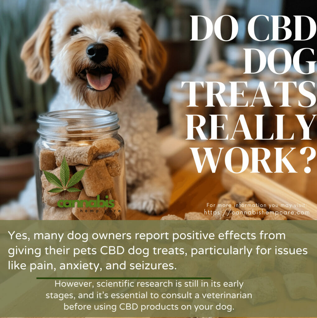 Do CBD Dog Treats Really Work