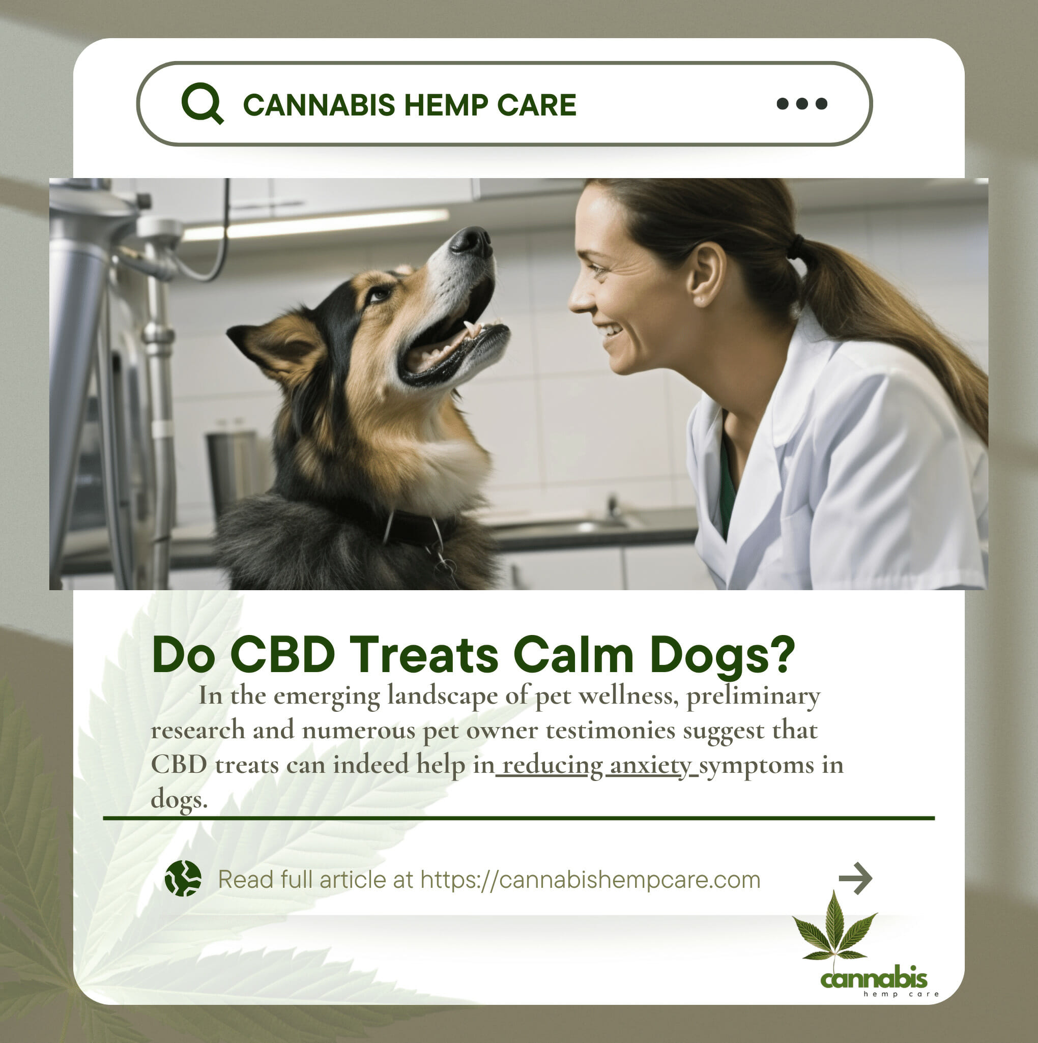 Do CBD treats calm dogs?