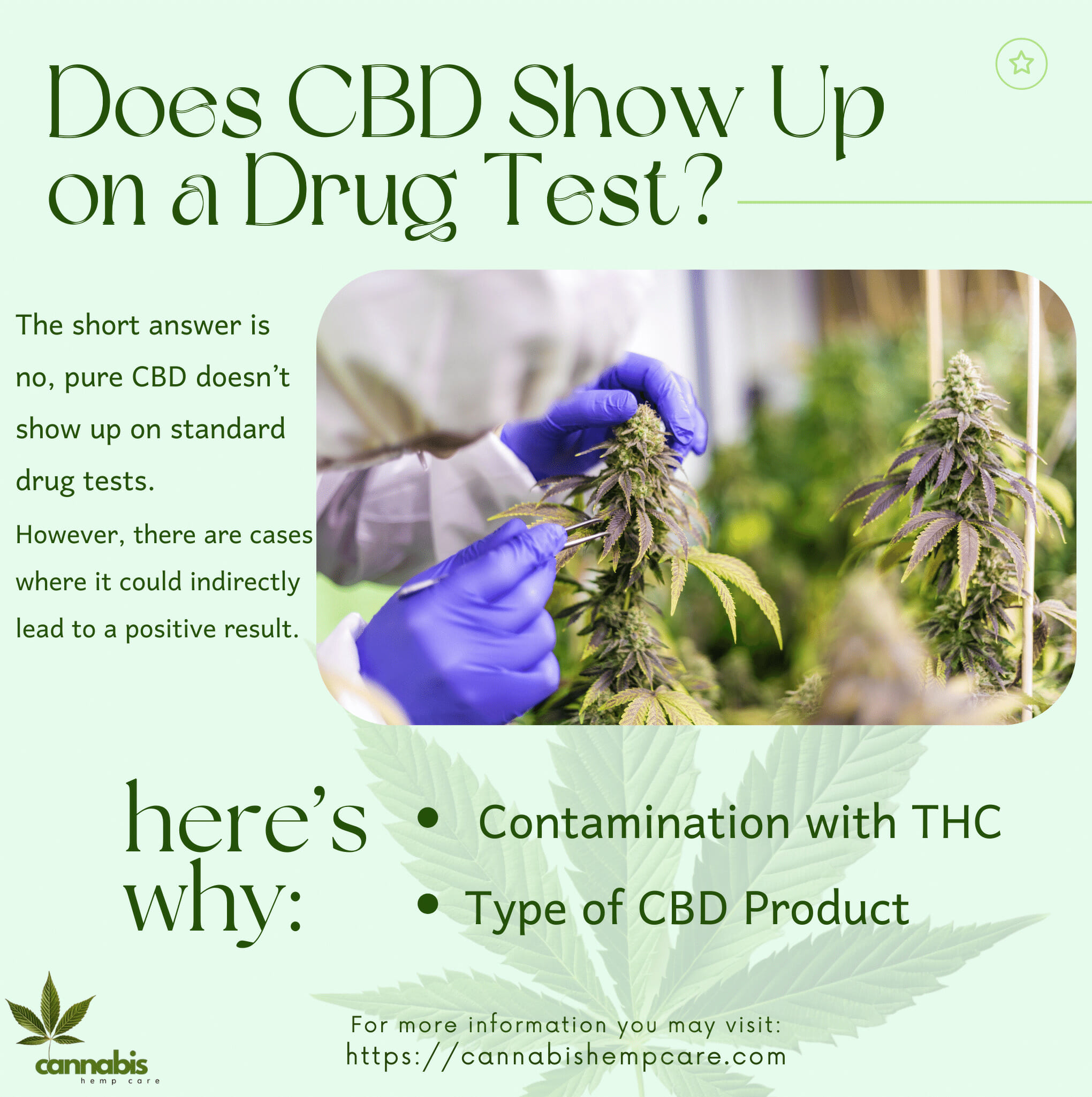 Does CBD Show Up on a Drug Test?