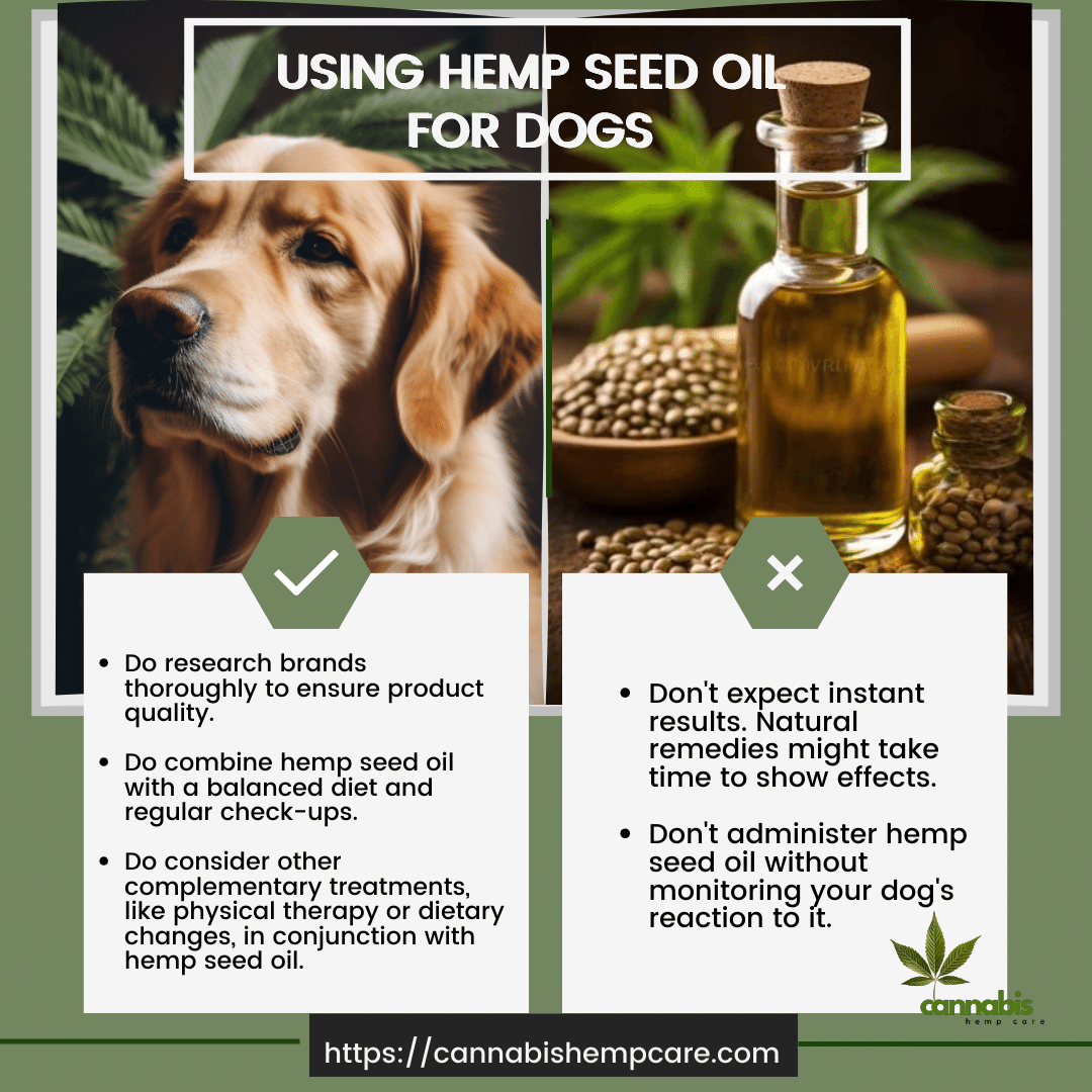 Dos and Don'ts When Using Hemp Seed Oil for Dogs