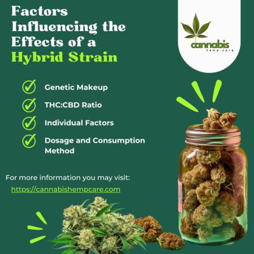 Factors influencing the effects of a hybrid strain