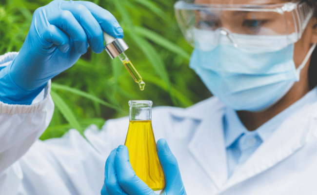 Fatty Acids in Hemp Oil: A Clinical Overview