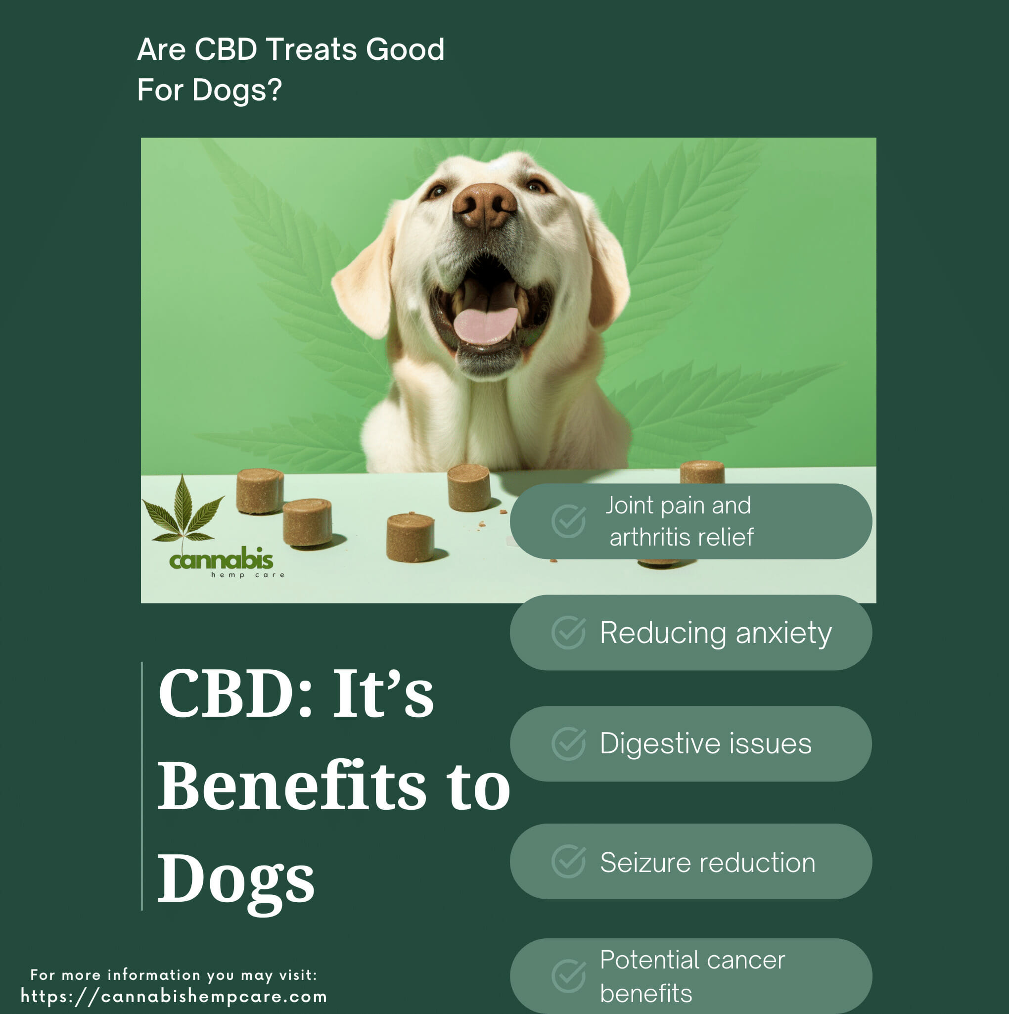 How Can CBD Benefit Dogs?