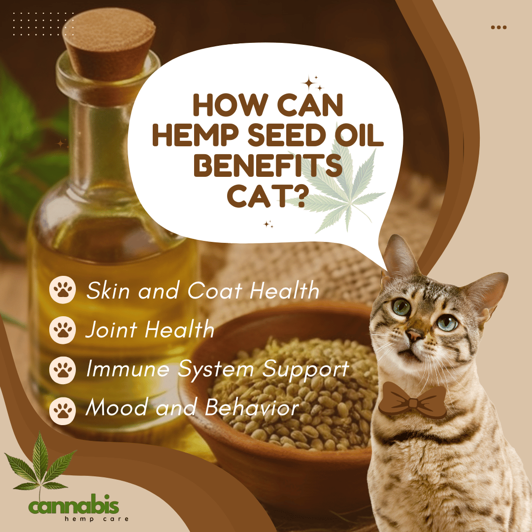 Hemp Seed Oil benefit for cats