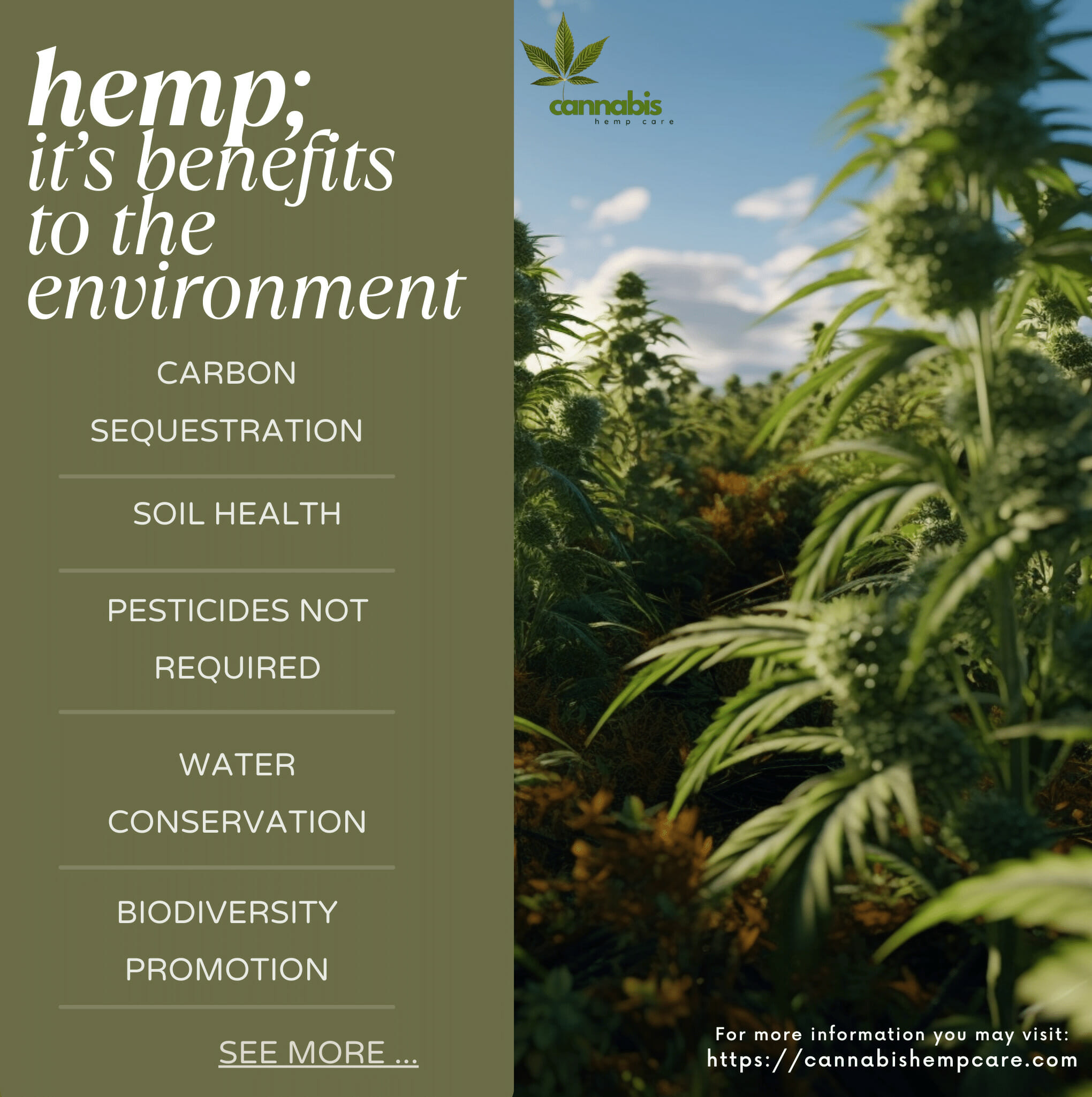 benefits of hemp to the environment