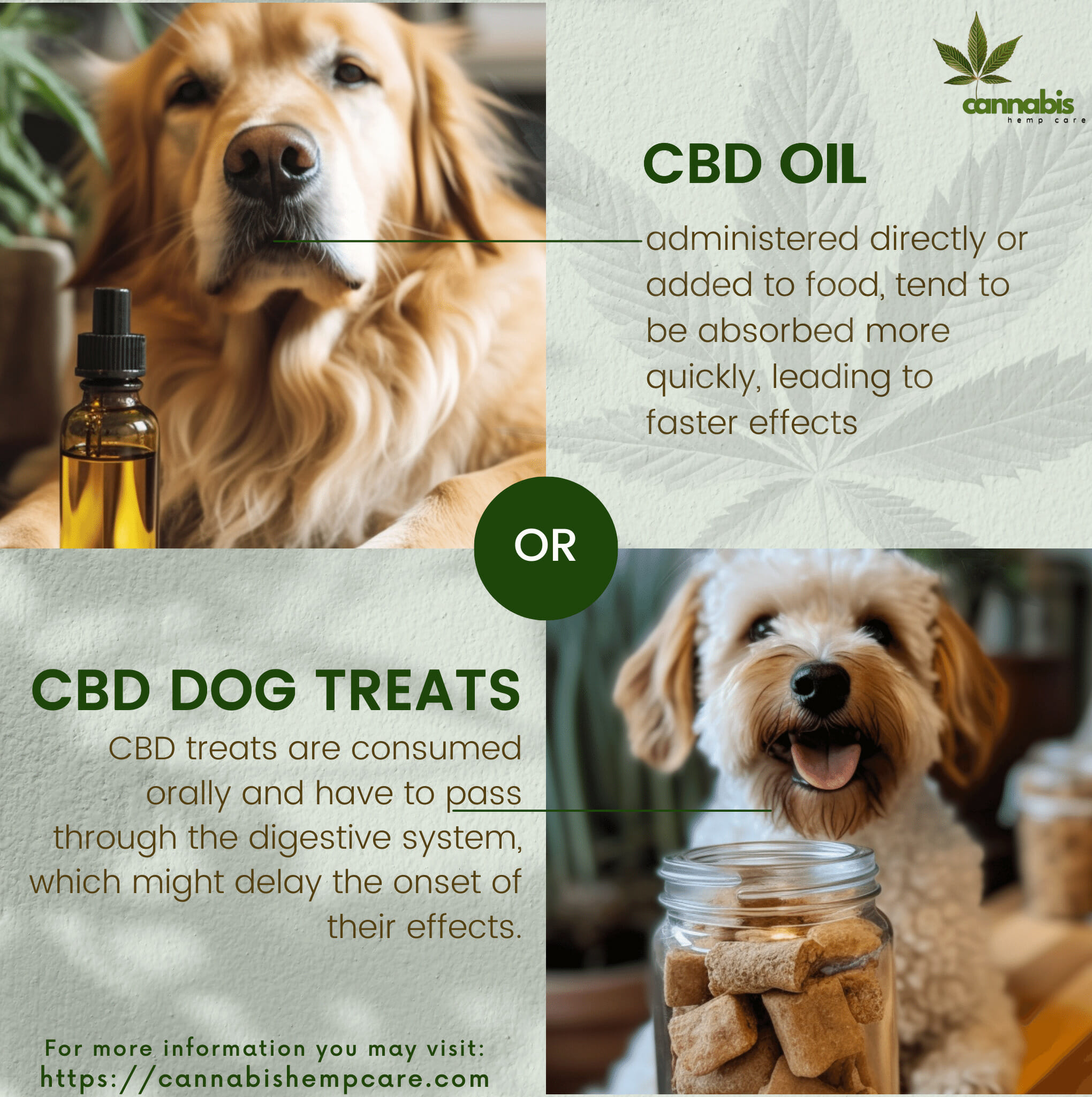 How do CBD treats compare with CBD oils for dogs