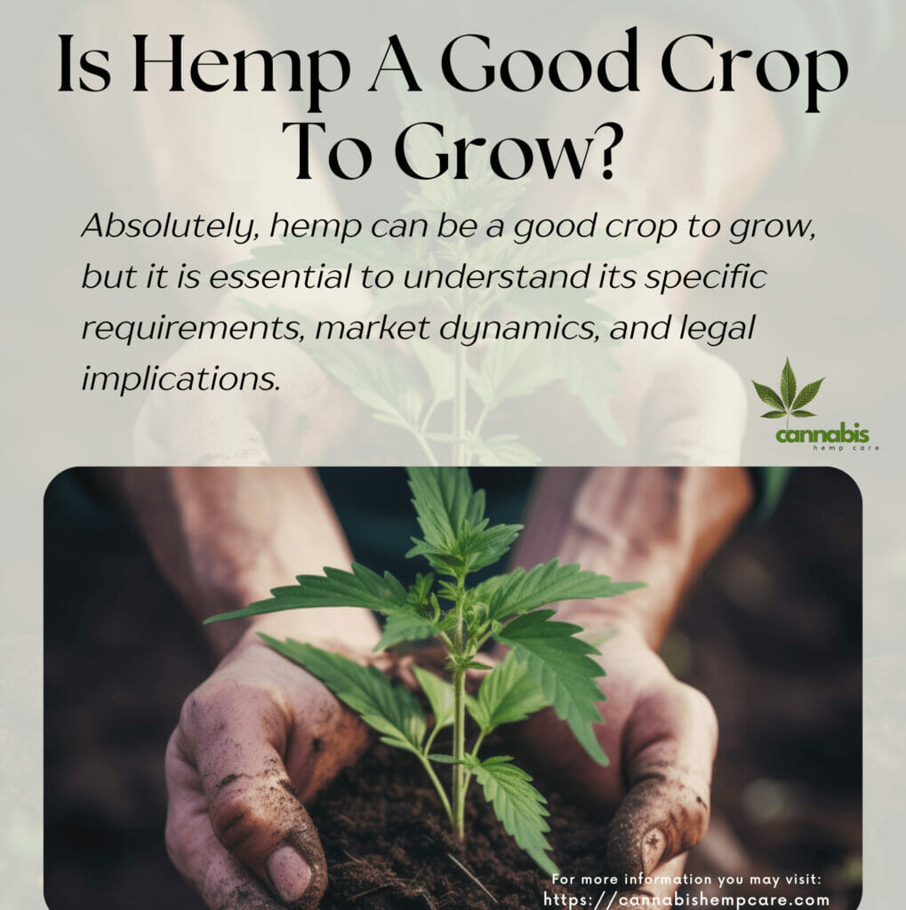 Is Hemp A Good Crop To Grow