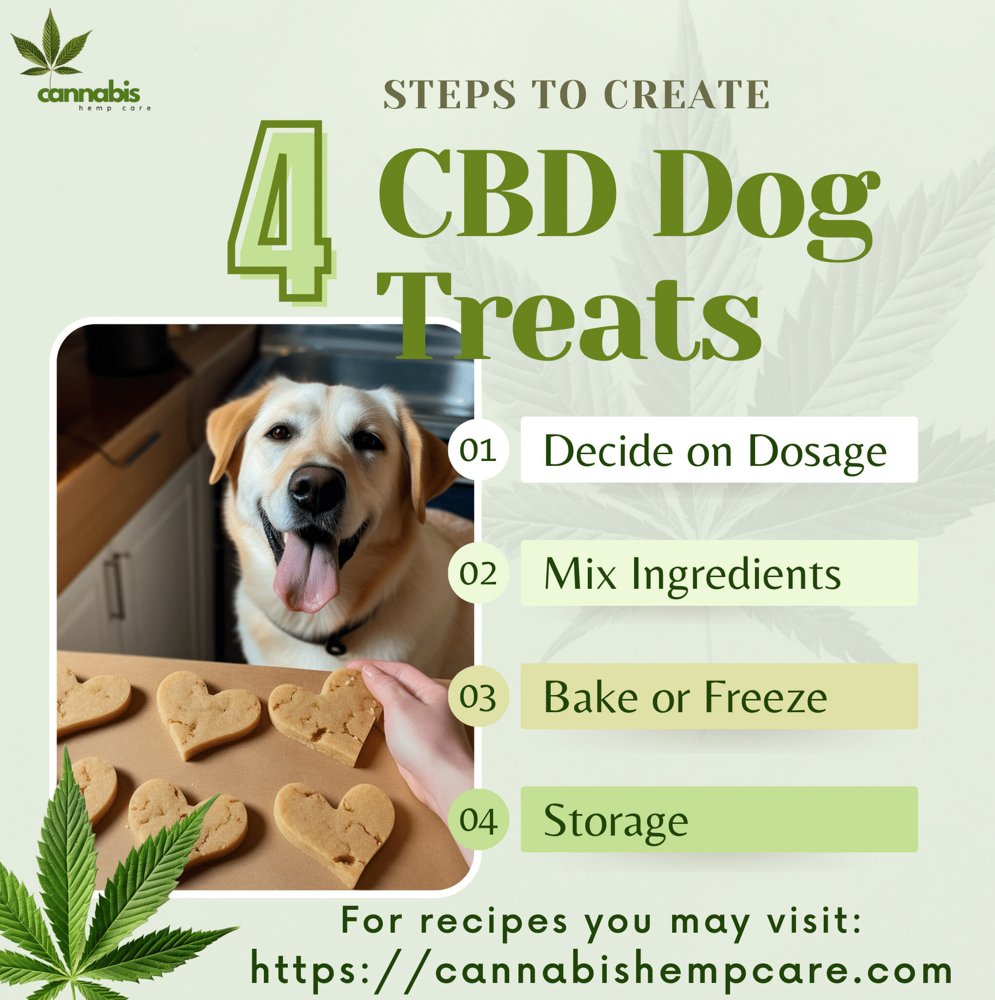 Steps to Create CBD Dog Treats