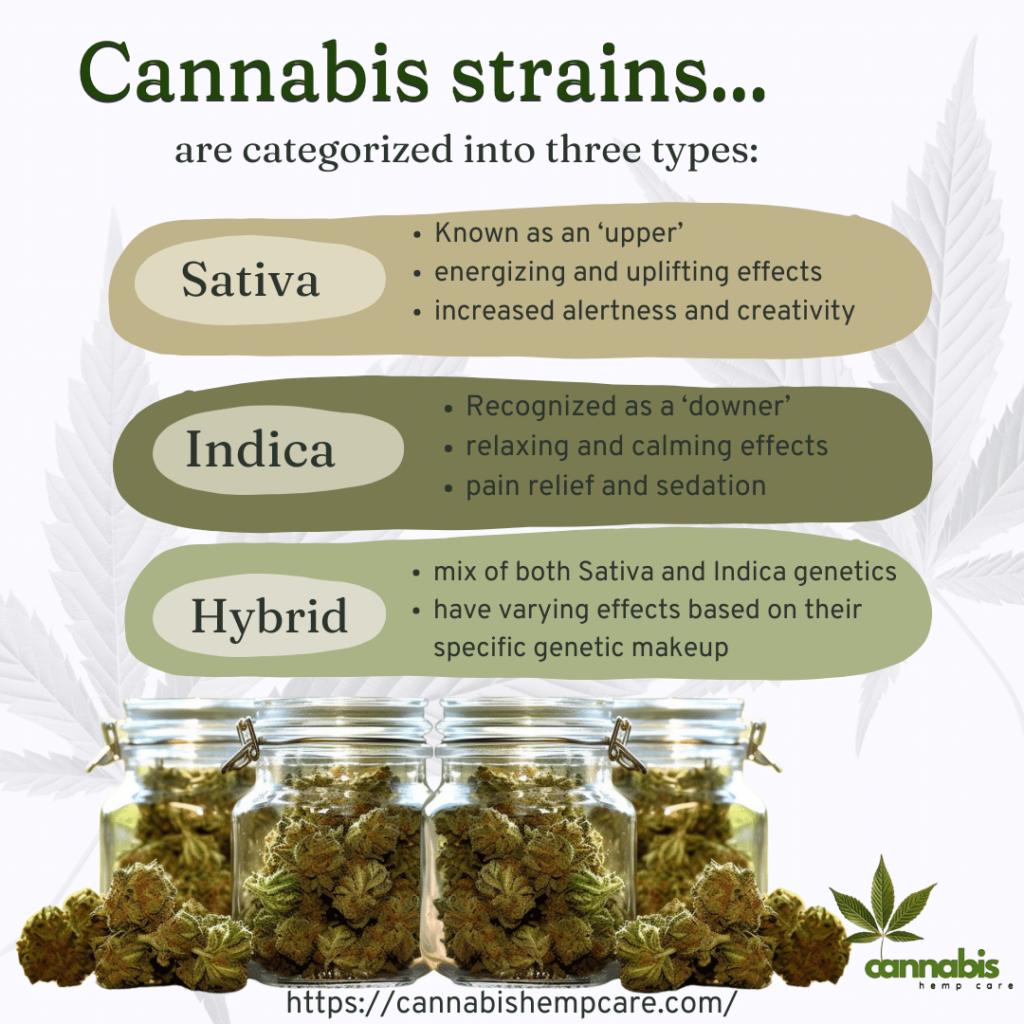 Understanding Cannabis Strains