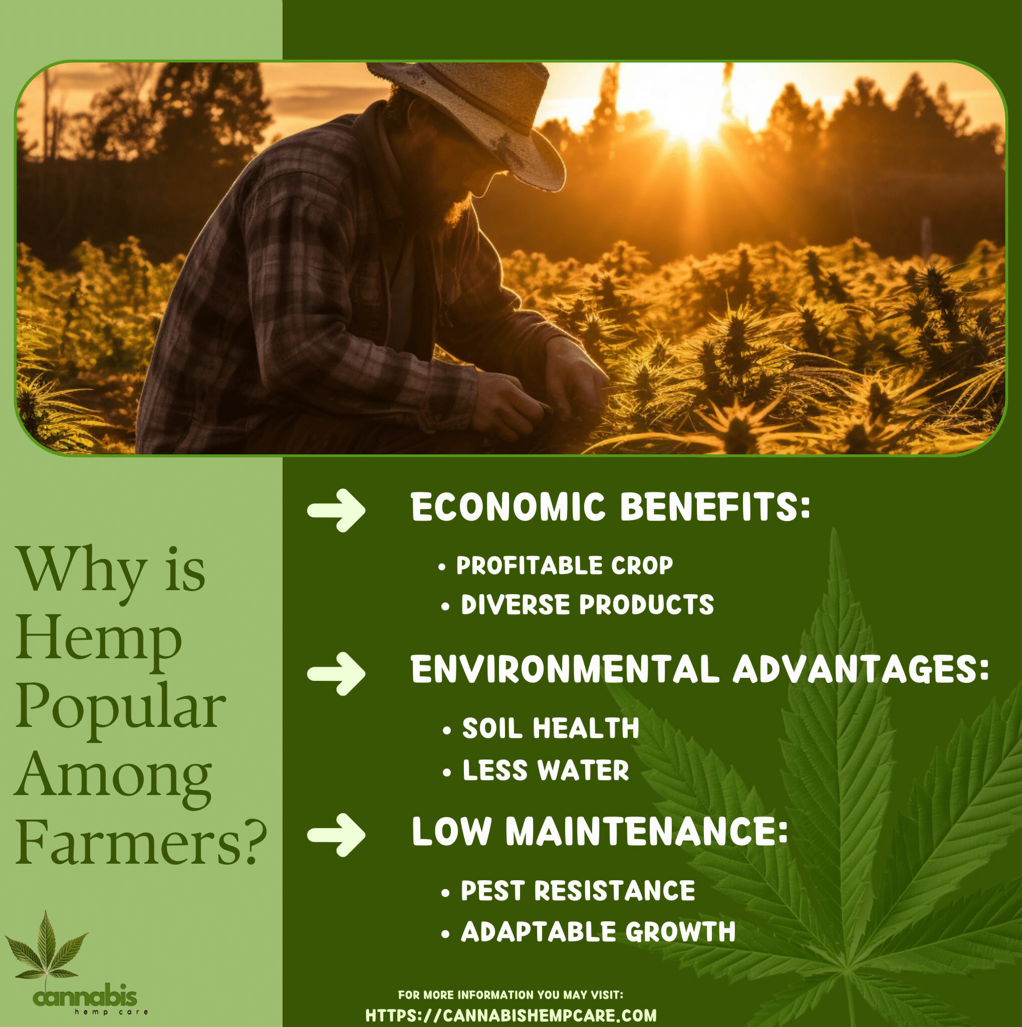 Why is Hemp Popular Among Farmers