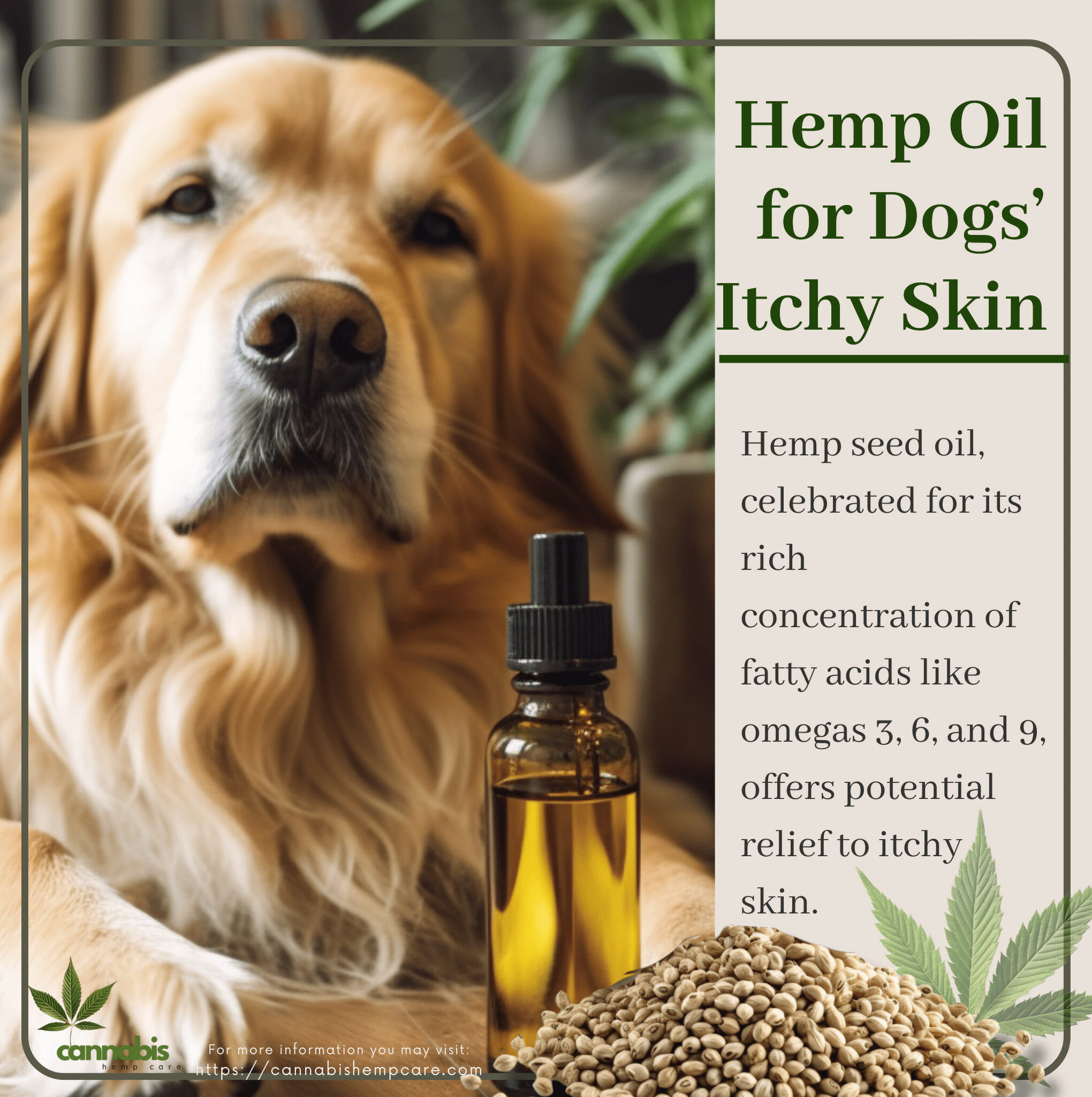 hemp oil for dogs' itchy skin