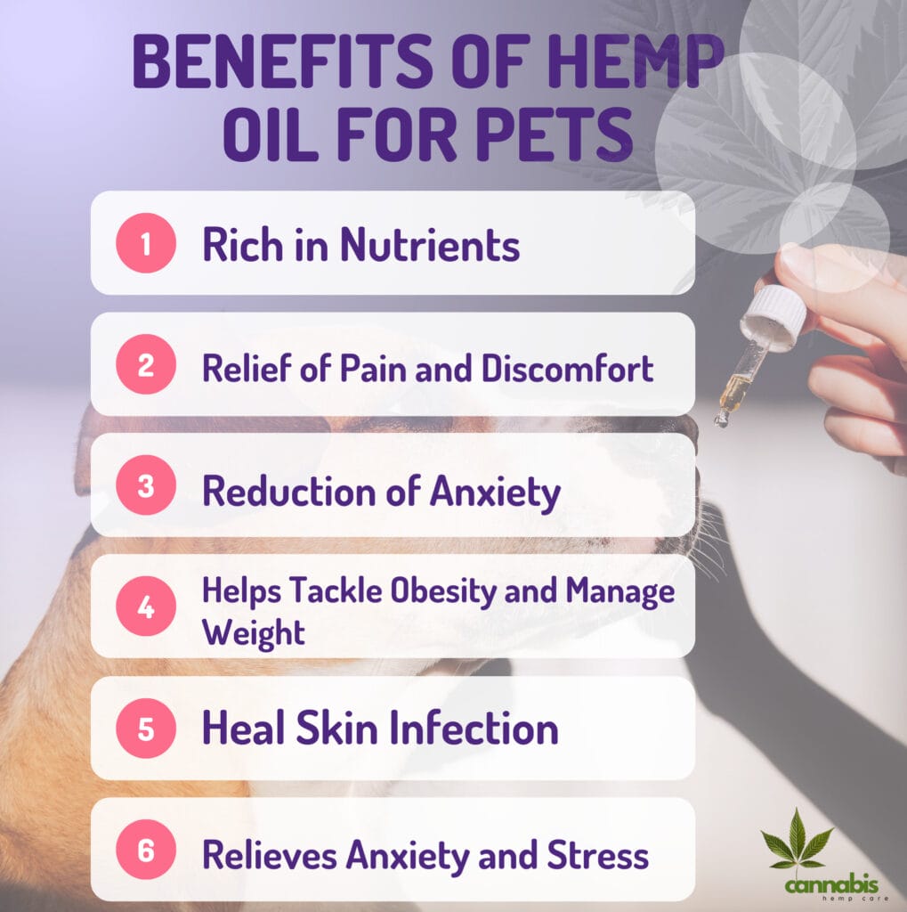 Benefits of Hemp Oil for Pets