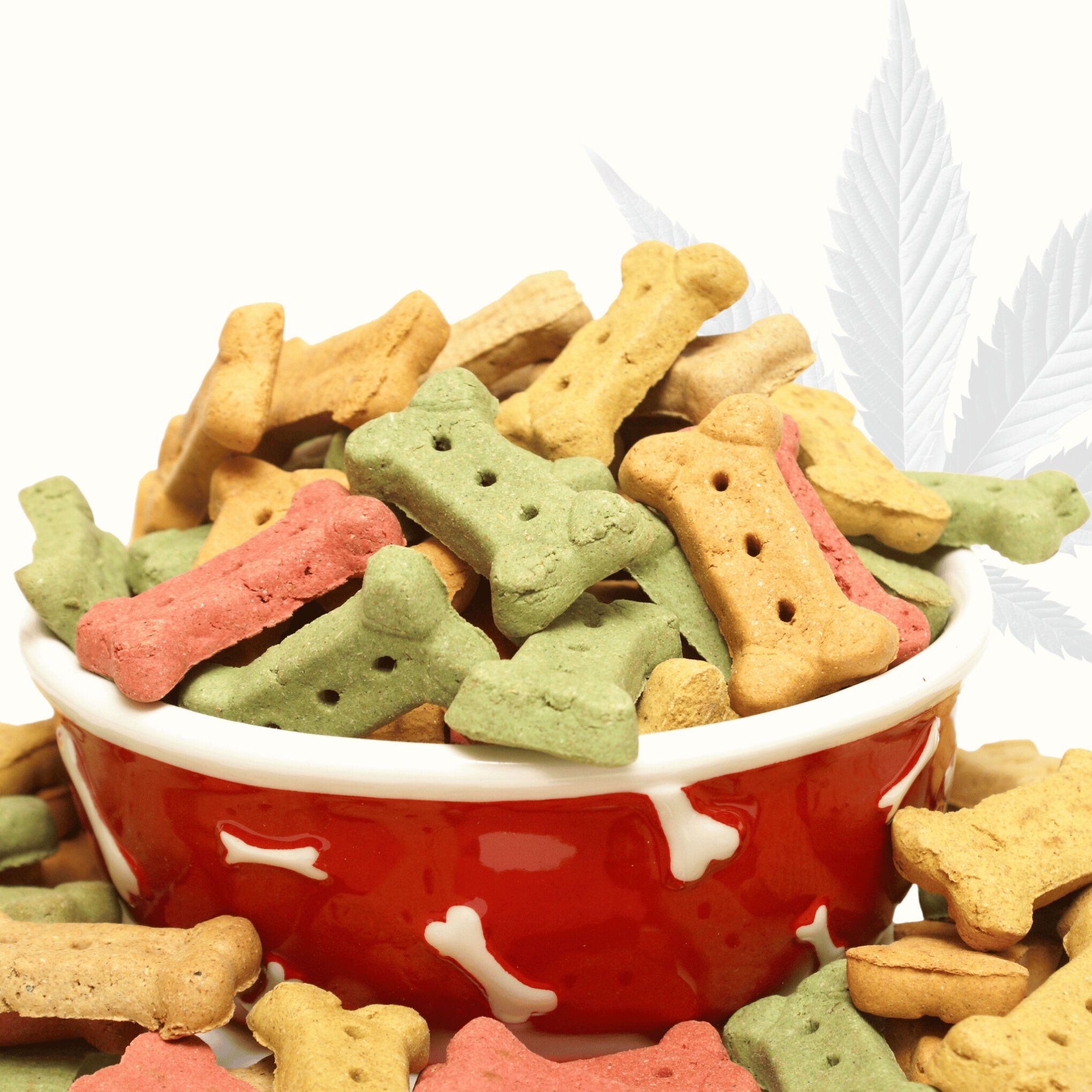 CBD dog treats and hemp dog treats mixed in a bowl