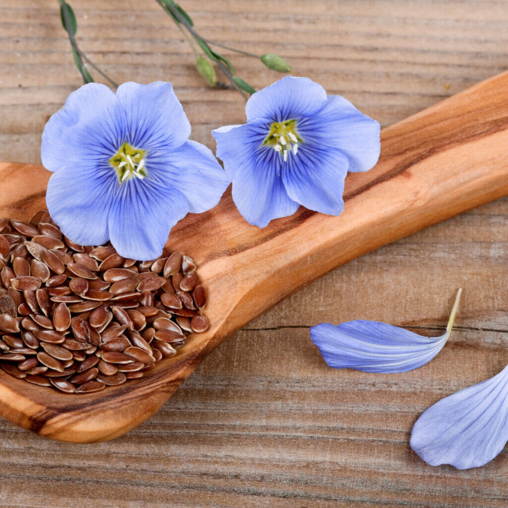 flaxseed one of  the sources of alpha-linolenic acid