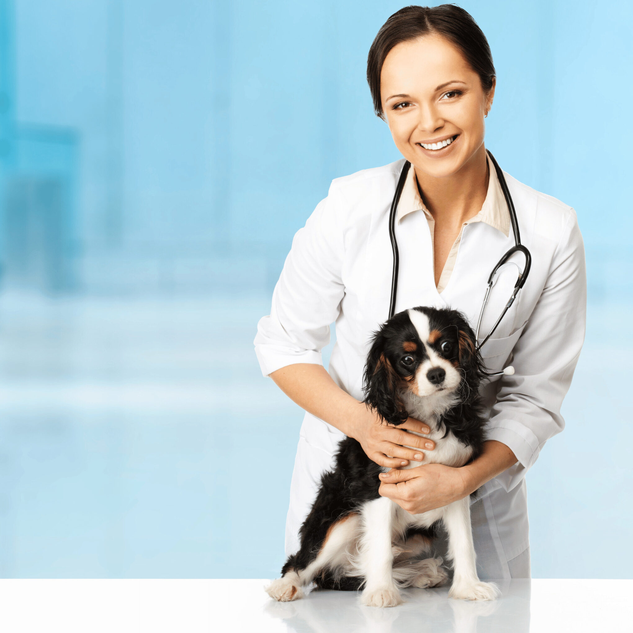 young positive brunette veterinary woman