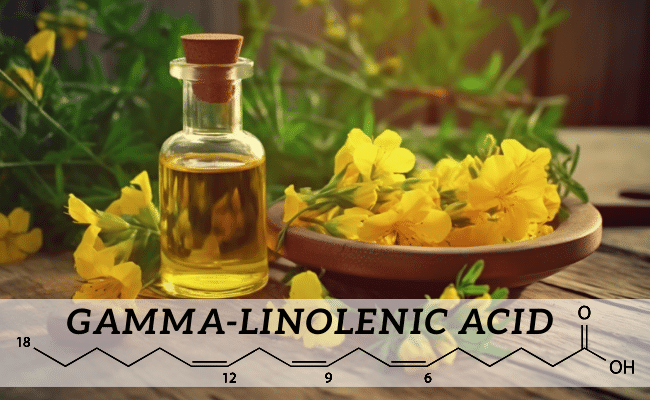 evening primrose oil, Gamma-Linolenic Acid