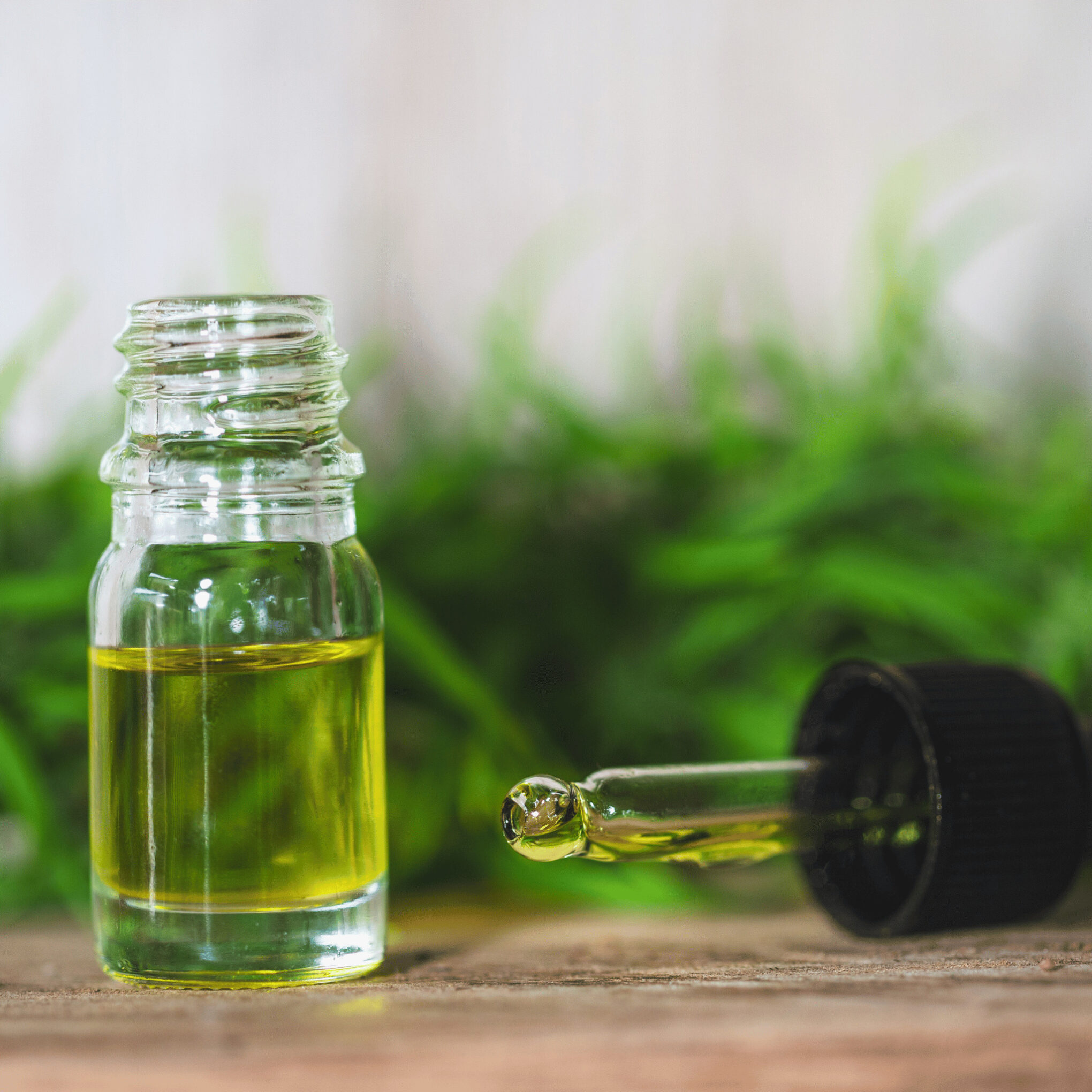 hemp oil for dogs in a small bottle and a tincture