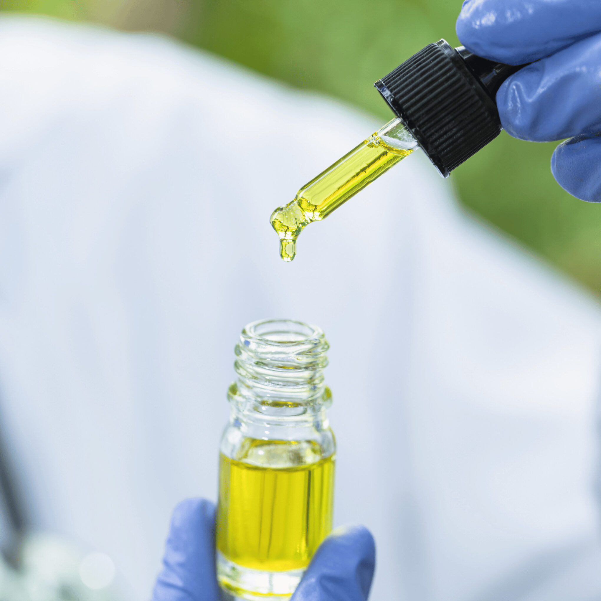 standard dose of hemp oil using tincture