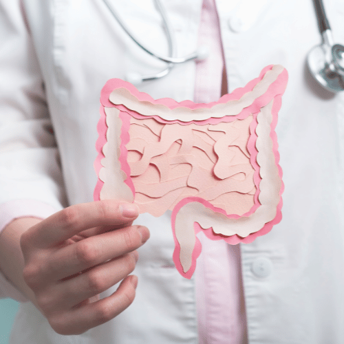 Gastroenterology, healthy digestion, microbiome intestine concept