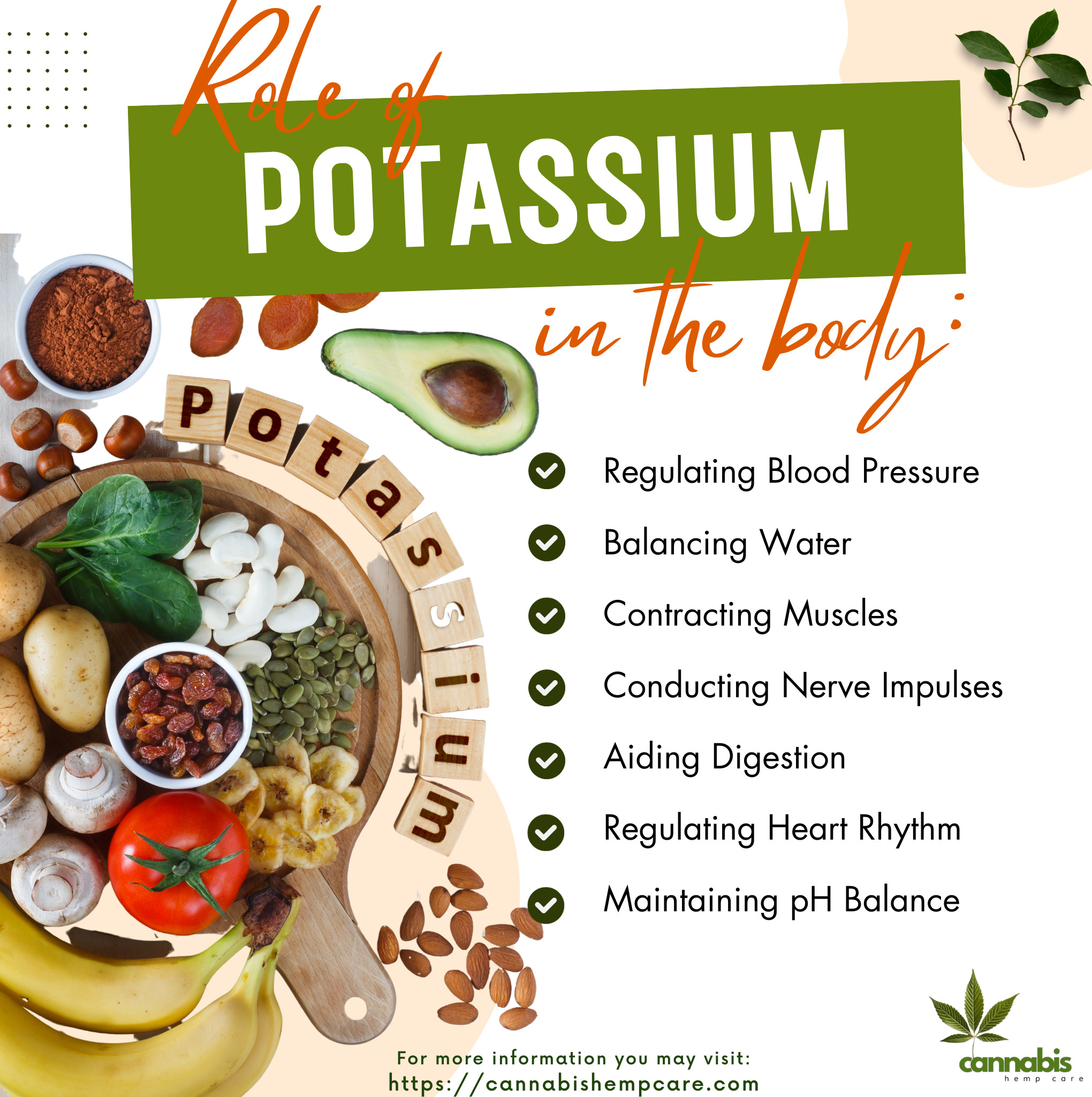 Role Of Potassium In The Body