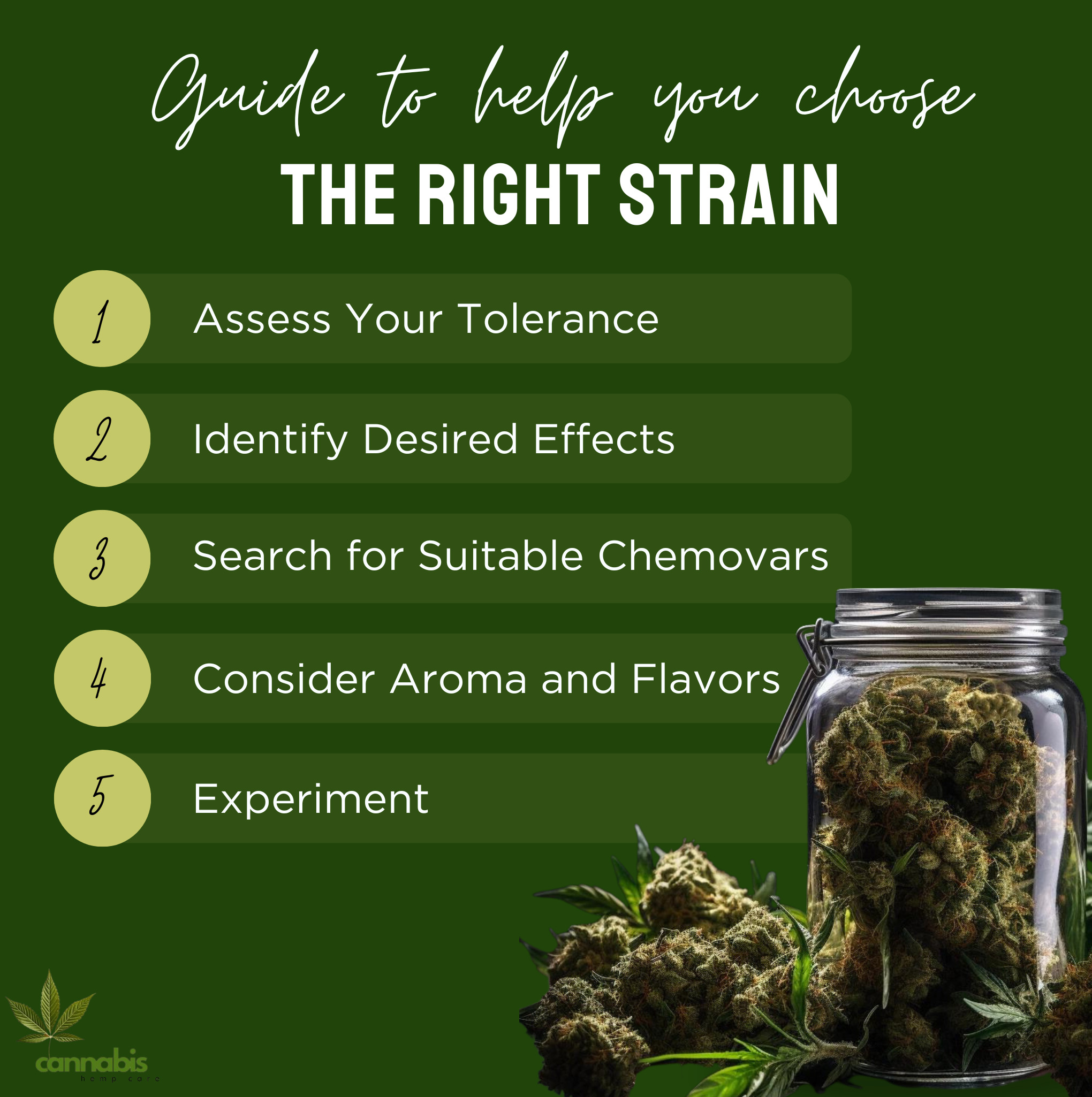 Step-by-Step Guide to Choosing the Right Strain