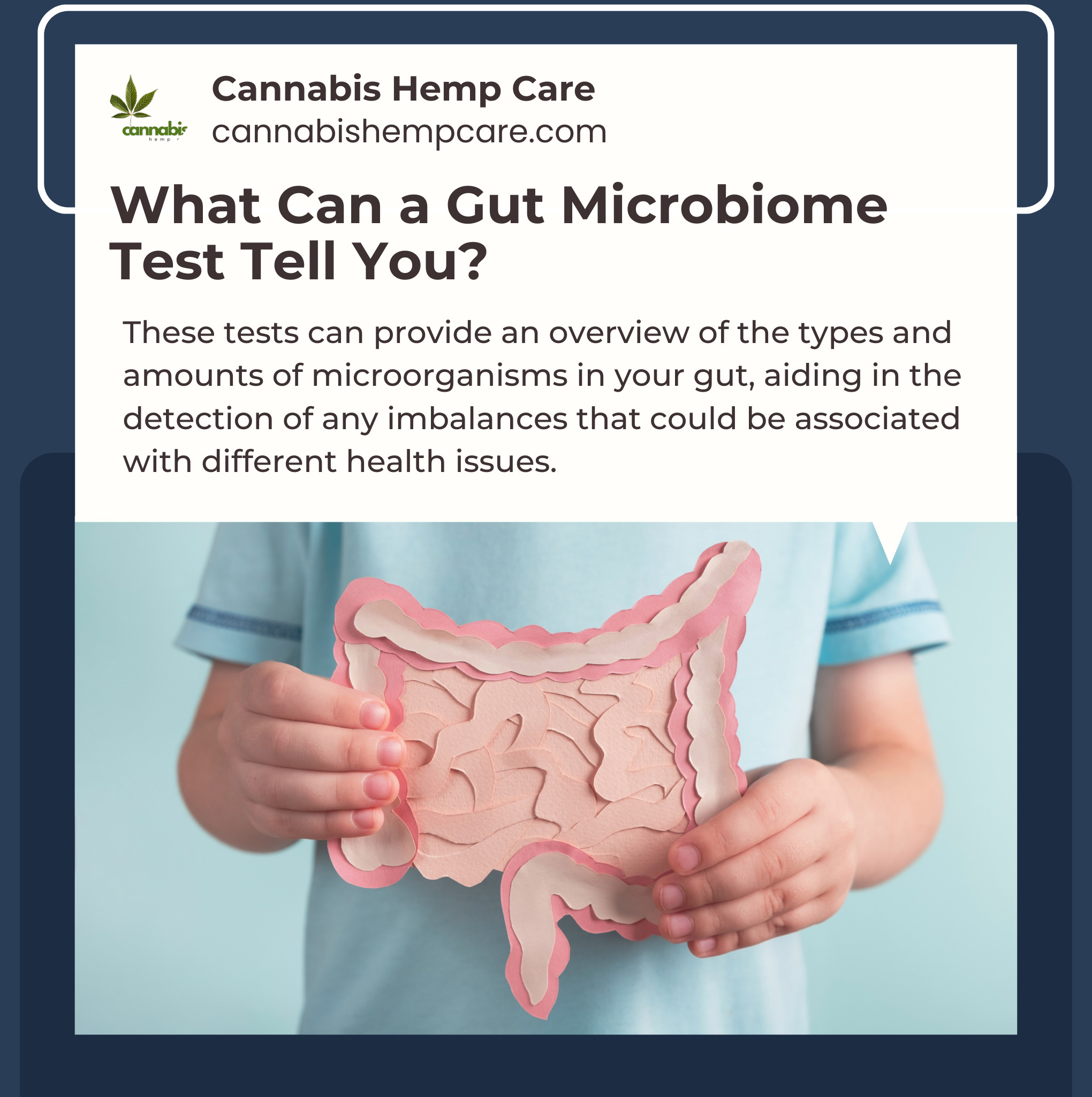 What Can a Gut Microbiome Test Tell You?