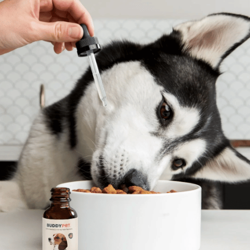 dog food with buddypet product