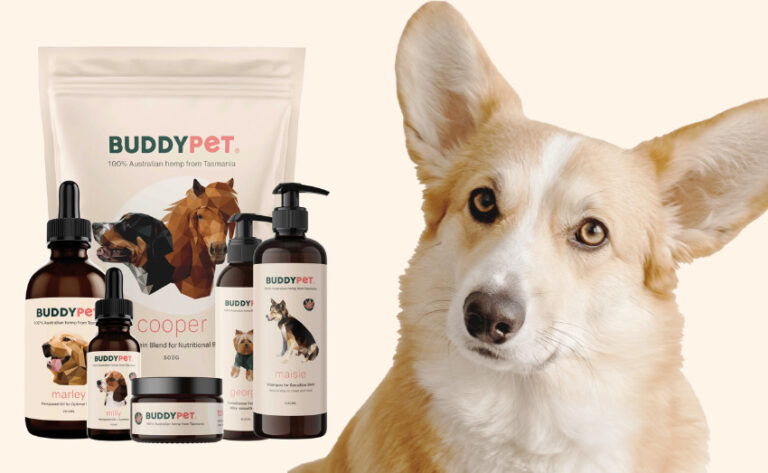 How Quickly Can I See Results In My Pets Health After Using Buddypet Products