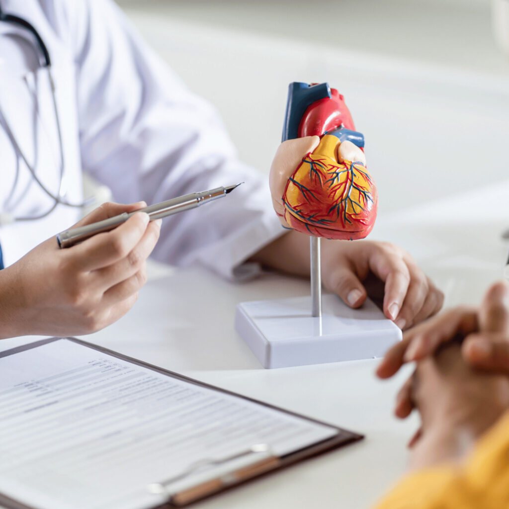 doctor consultation regarding heart disease