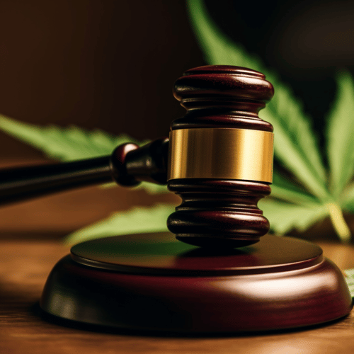 gavel with minimal hemp leaf on the background