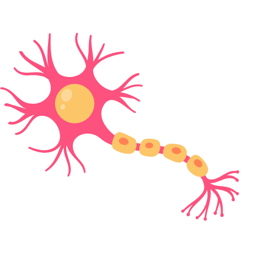 human sensory neuron model for biology studies